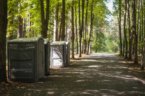 Best Porta potty rental for parties  in Rockwood, MI